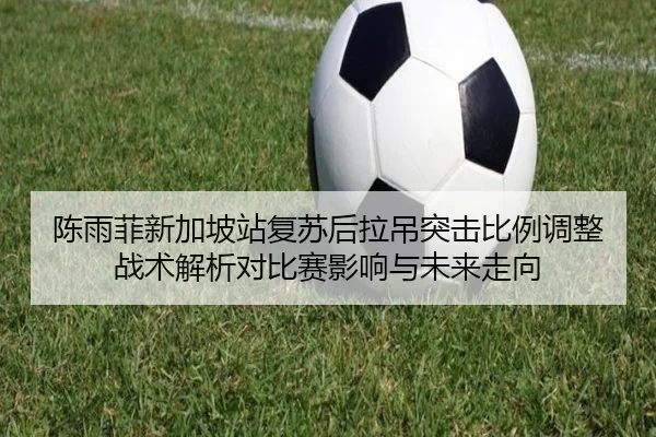 陈雨菲新加坡站复苏后拉吊突击比例调整战术解析对比赛影响与未来走向