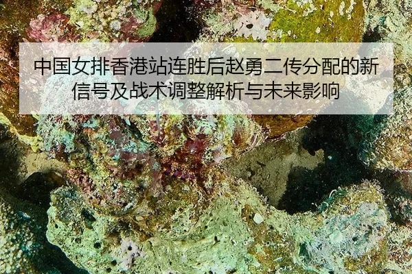 zhong-guo-nv-pai-xiang-gang-zhan-lian-sheng-hou-zhao-yong-er-chuan-fen-pei-de-xin-xin-hao-ji-zhan-shu-tiao-zheng-jie-xi-2-190.jpg